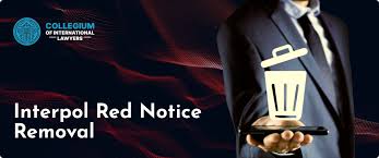 Understanding Legal Representation for Individuals Facing Interpol Red Notices Understanding Legal Representation for Individuals Facing Interpol Red Notices