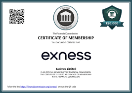 Celebrating Excellence The Importance of Exness Awards